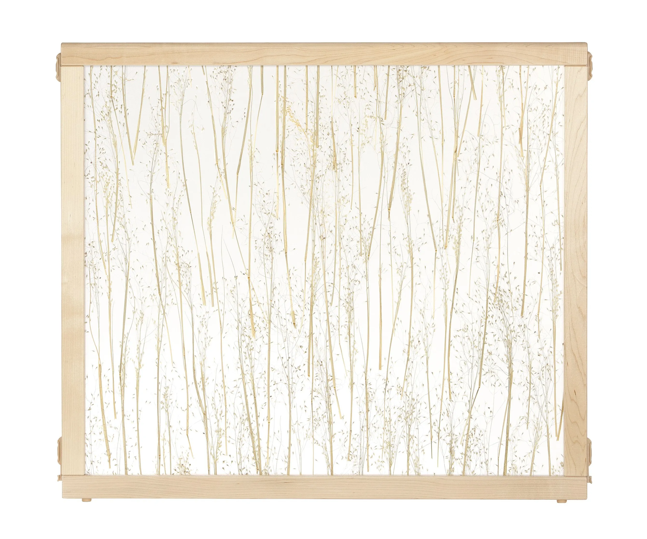 Rice Grass Panel 32" High