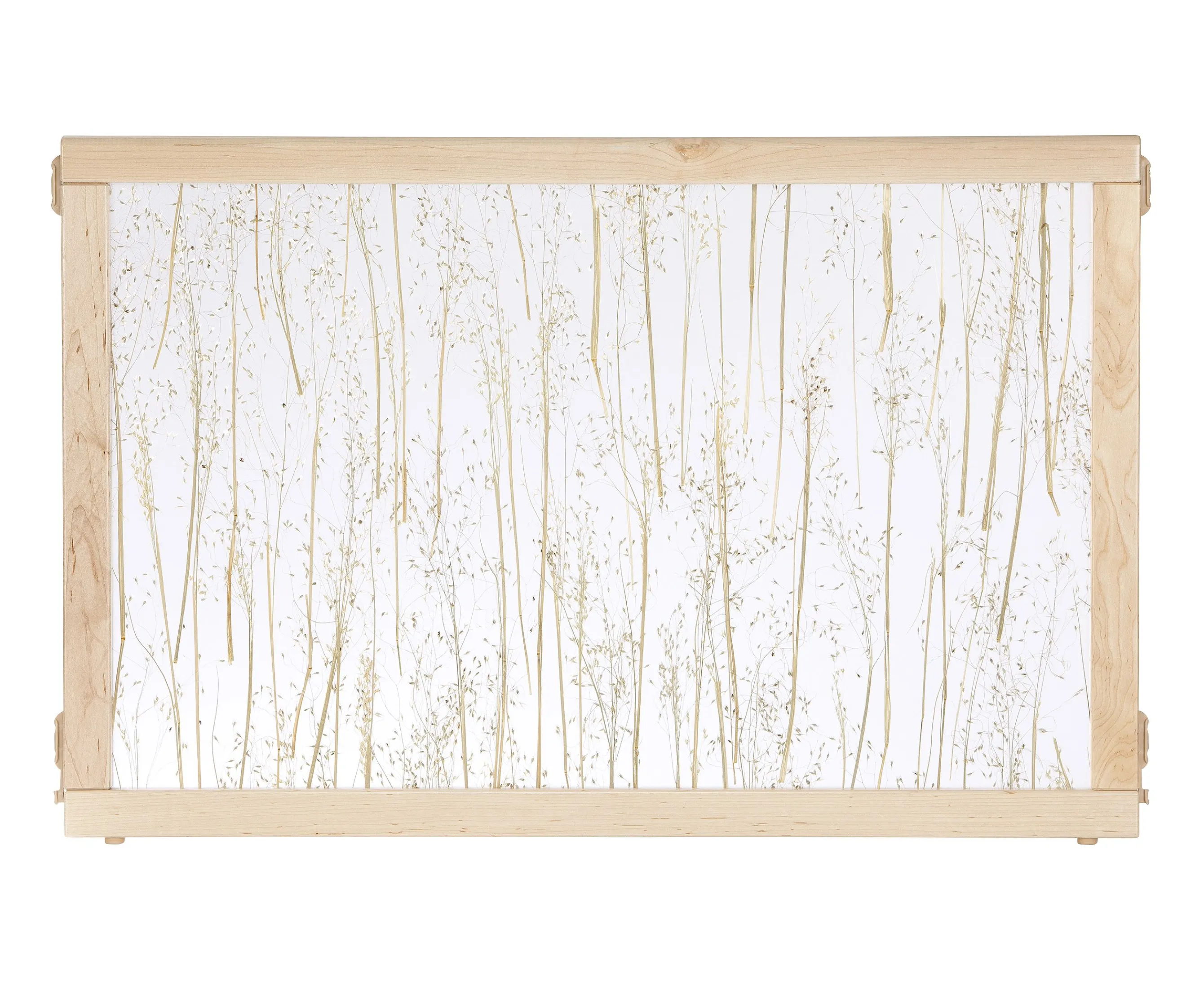 Rice Grass Panel 24" High