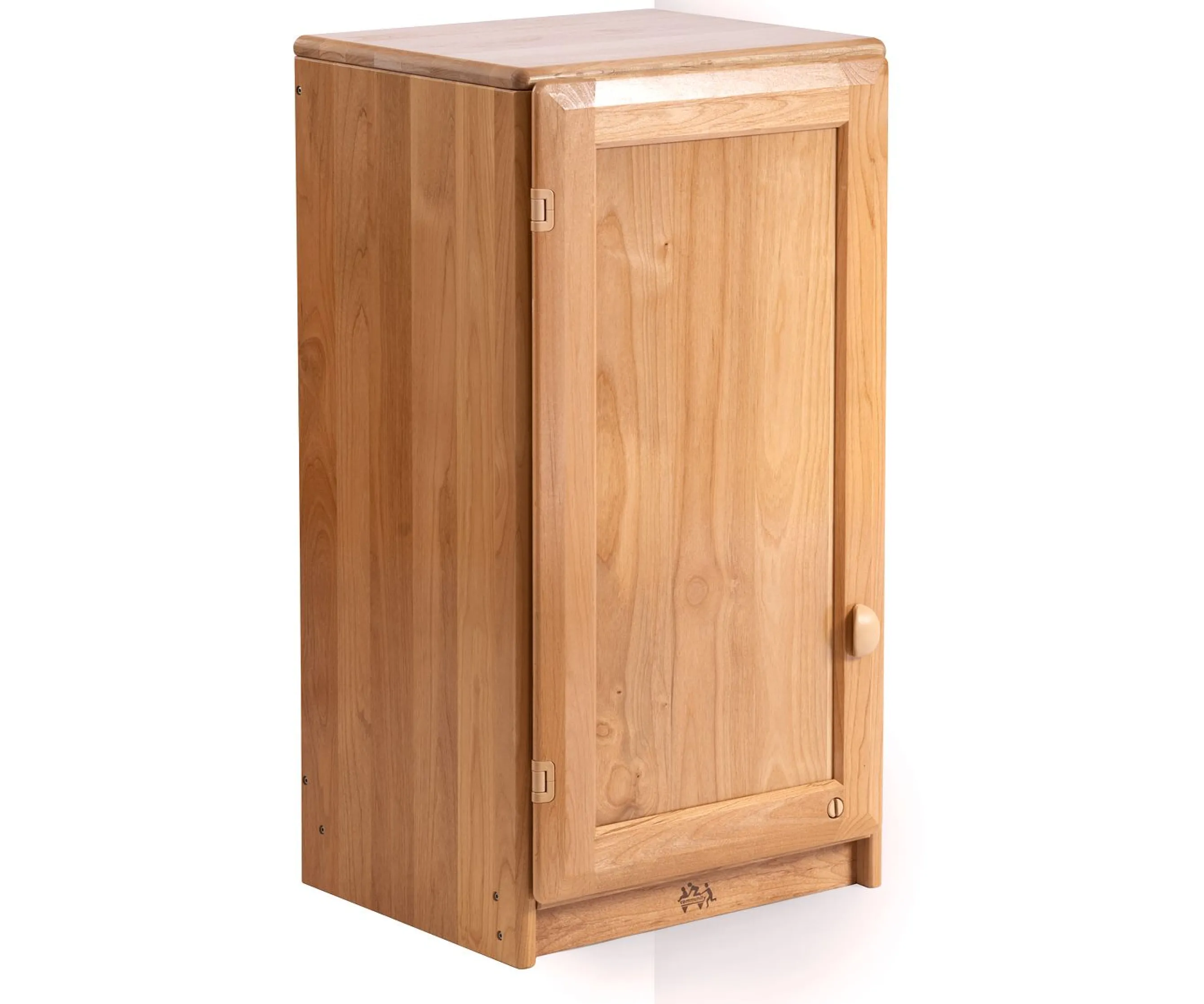 Wall-Mounted Cabinet 16"